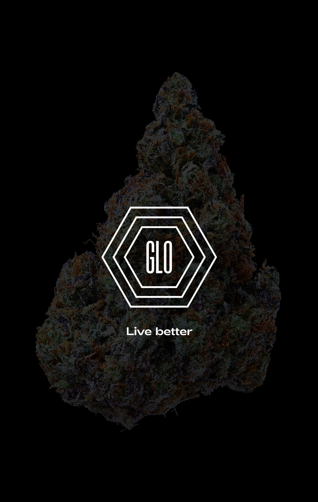 GLO The Importance of building a value led brand